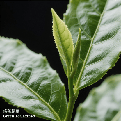 純源水療舒緩潔面乳(綠茶) (250毫升) - ELEMONT